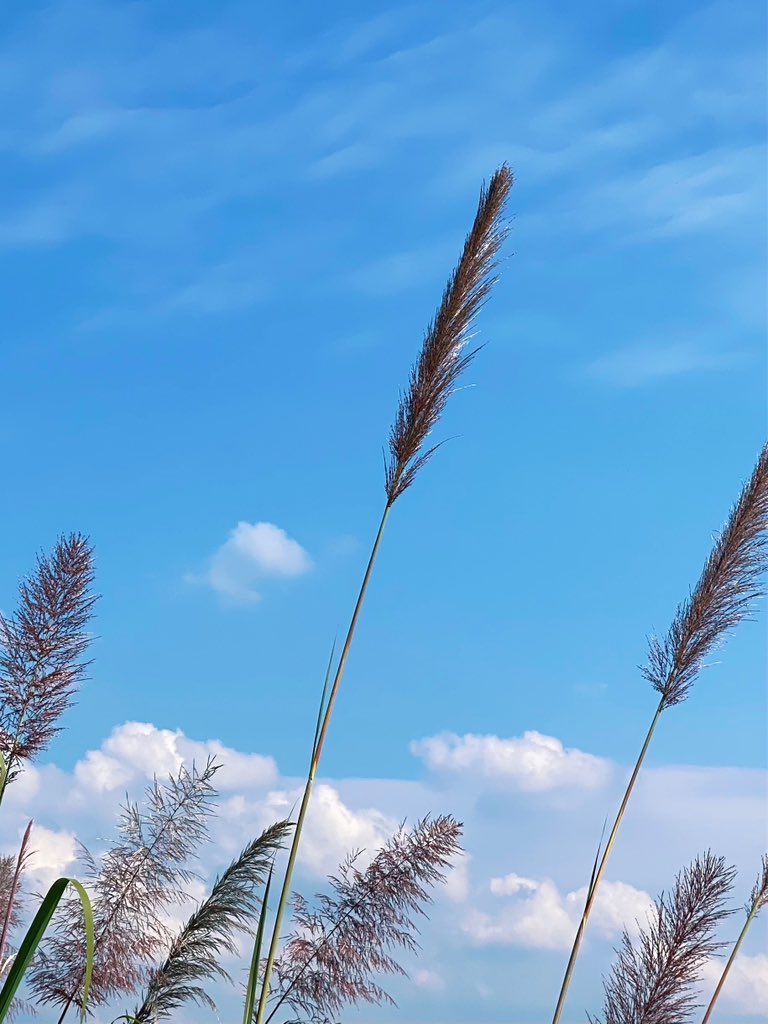 Eric Tseng tweet media