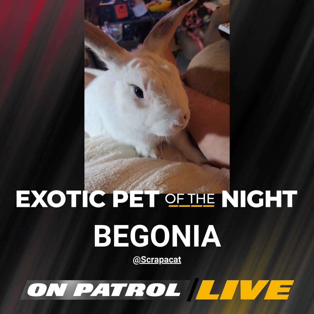 Kansas City Southern tweet media