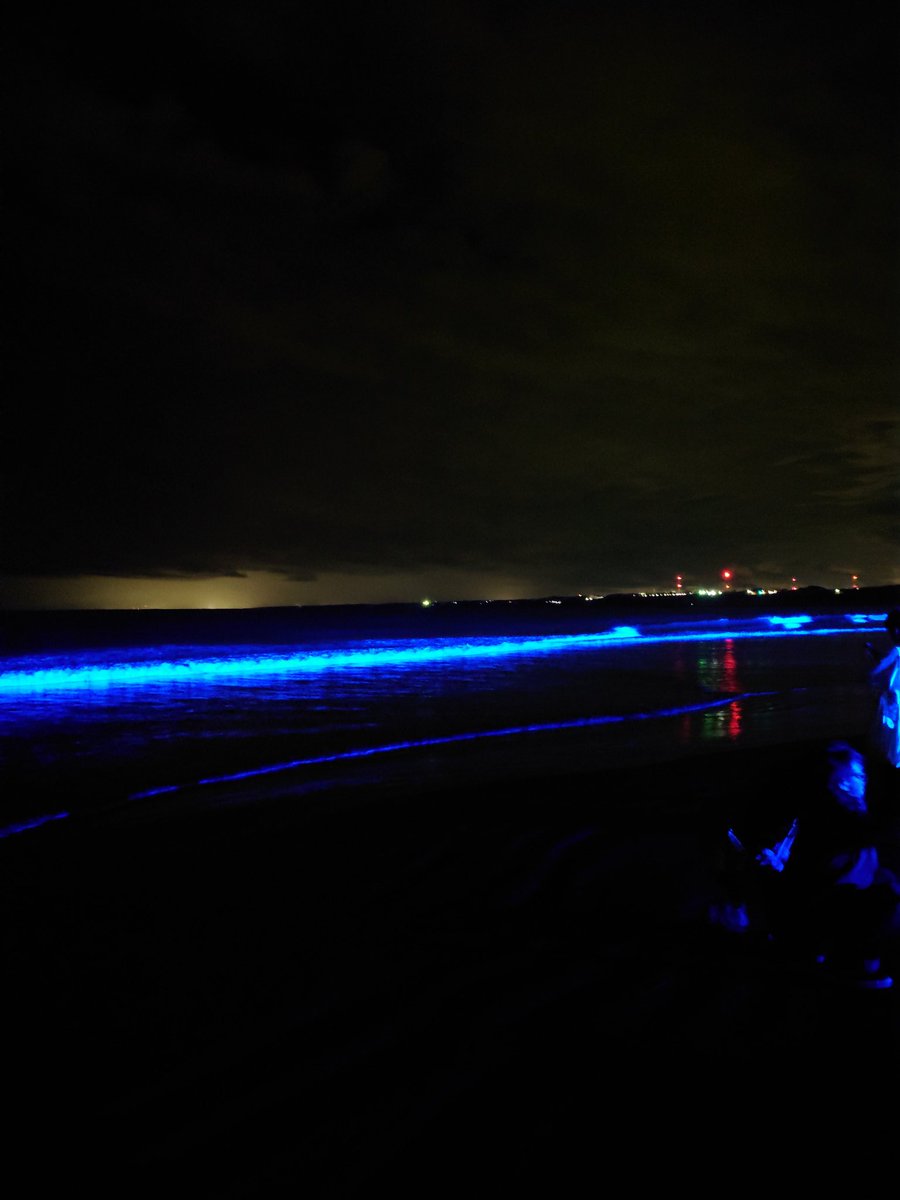 NoNatureNoLife1's tweet image. 茨城県大洗サンビーチにて
ナイトウェーブ👍
凄く神秘的でした✨
イベントは今日までです！
まだの人は是非!!
#NIGHTWAVE
#大洗サンビーチ
#イルミネーション