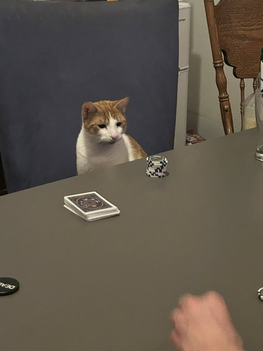steviestud_'s tweet photo. “toni’s playing? i fold.” @BlokeCorlsan https://t.co/FSfWCOdNDa
