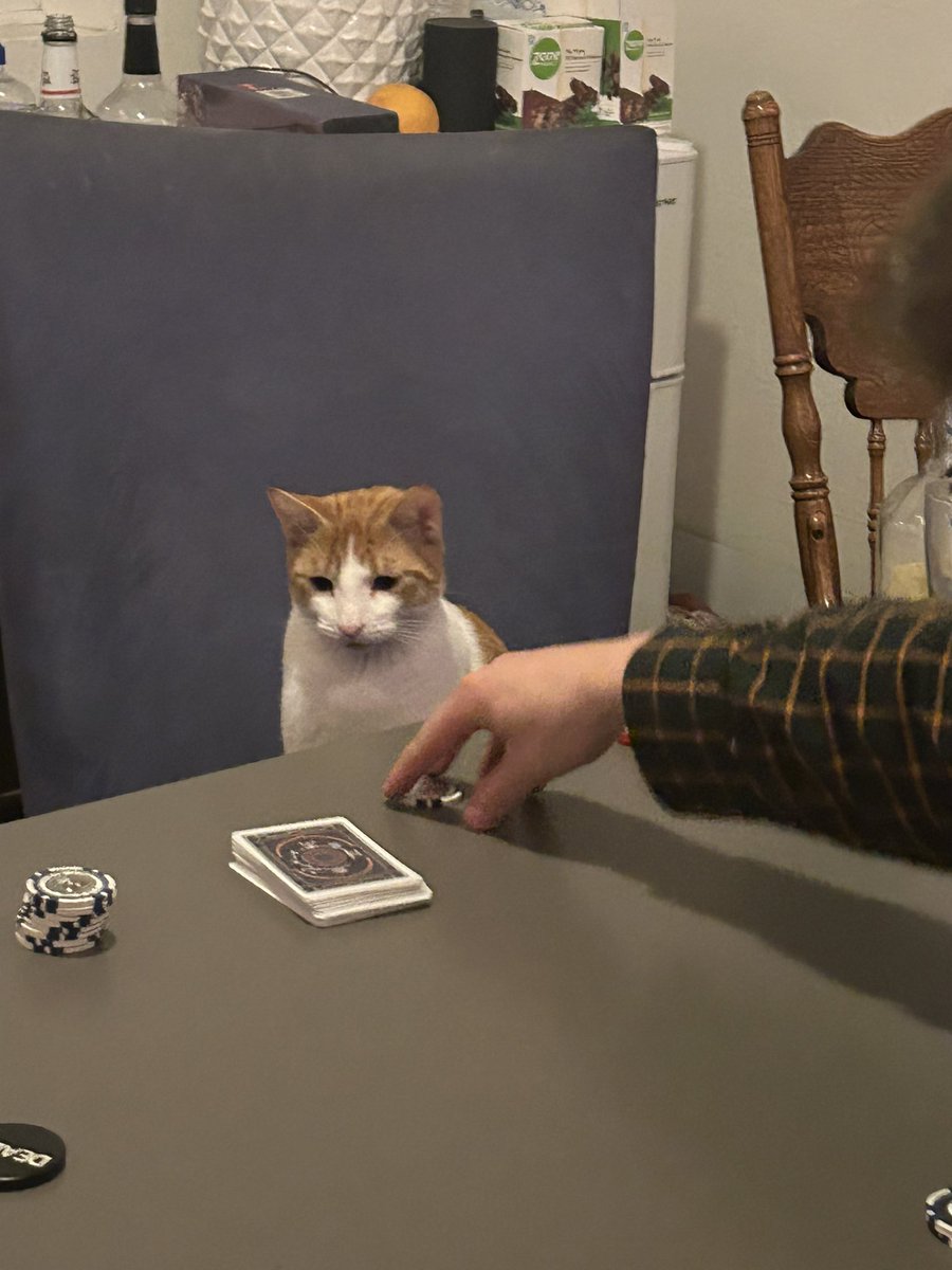 steviestud_'s tweet photo. “toni’s playing? i fold.” @BlokeCorlsan https://t.co/FSfWCOdNDa