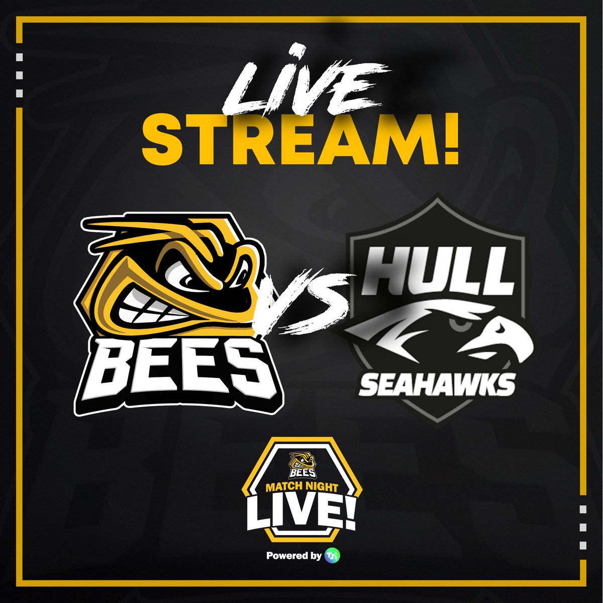 🎥𝗟𝗜𝗩𝗘 𝗦𝗧𝗥𝗘𝗔𝗠 🎥
Can't make it to the rink for tonight's game against the <a href="/hullseahawks/">Hull Seahawks 🦅🏒</a> ? We have you covered!

Join our Bees Match Night Live team with tonight's stream, powered by TSI World 👇

🎟️bit.ly/BIHCLive