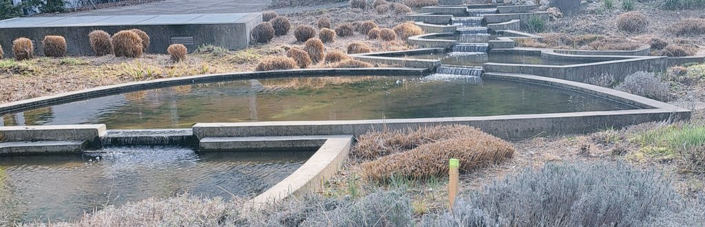 Guten Morgen Twitterleins. 

Ausgeschlafen, aufgestanden, Dusche, Kaffee, lesen. Füsse hoch, chillen. Das ist Sonntag für mich.

Genießt den letzten Tag dieses Wochenendes.