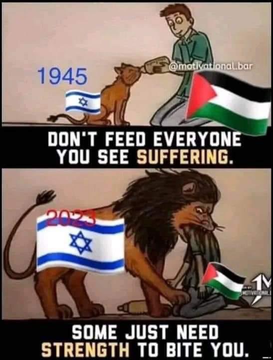 Steven Innes 🏴󠁧󠁢󠁳󠁣󠁴󠁿🇦🇺🇮🇪 tweet media