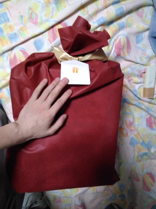 おや、なにやら誕生日プレゼントが………レベッカぜよというわけで、昨年の12月に誕生日プレゼントとして予約してくれたレベッカが届きましたありがとうありがとうありがとうありがとうございますぅぅううう 