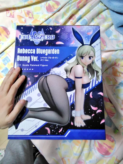 おや、なにやら誕生日プレゼントが………レベッカぜよというわけで、昨年の12月に誕生日プレゼントとして予約してくれたレベッカが届きましたありがとうありがとうありがとうありがとうございますぅぅううう 
