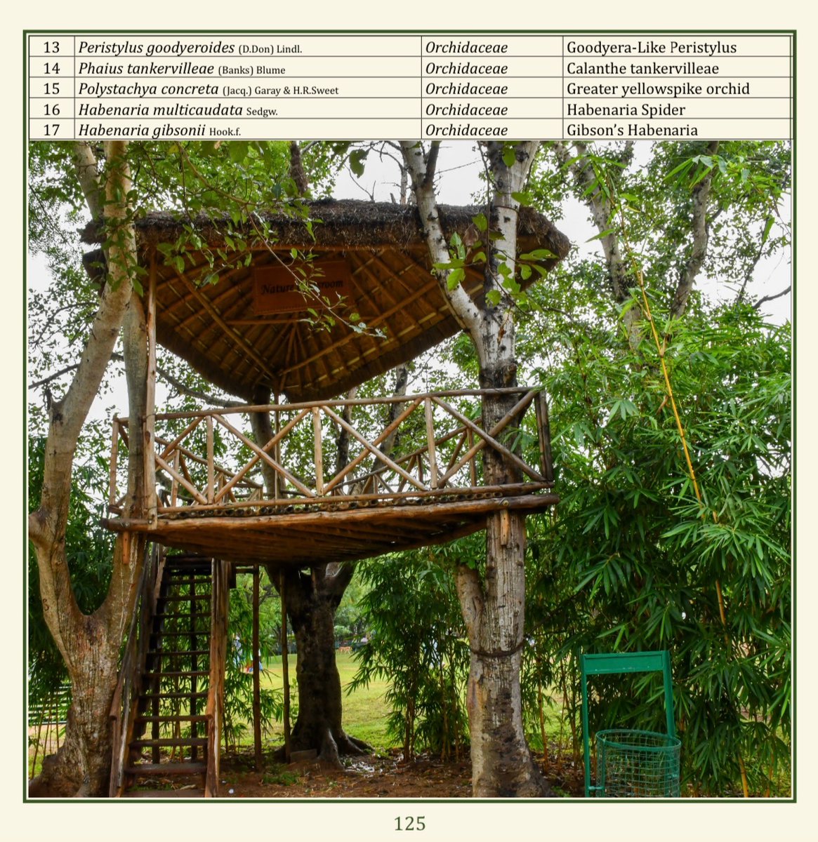 (51/75) ORCHIDARIUM
<a href="/TSFDCL/">Telangana Forest Development Corporation Ltd</a>
<a href="/HarithaHaram/">Telangana Forest Dept.</a>
<a href="/FCRIHyderabad/">FCRI Hyd Telangana</a>
<a href="/TelanganaCMO/">Telangana CMO</a>
<a href="/PMOIndia/">PMO India</a>
<a href="/bsi_moefcc/">Botanical Survey of India</a>
<a href="/bgci/">Botanic Gardens Conservation International</a>
<a href="/UNBiodiversity/">UN Biodiversity</a>
<a href="/FAOclimate/">FAO Climate Change & Biodiversity</a>
<a href="/UNEP/">UN Environment Programme</a>
<a href="/RoyalBotanical/">Royal Botanical</a>
<a href="/IcfreIndia/">Indian Council of Forestry Research and Education</a>
<a href="/RoyalBotanical/">Royal Botanical</a>
<a href="/TreesforCities/">Trees for Cities</a>