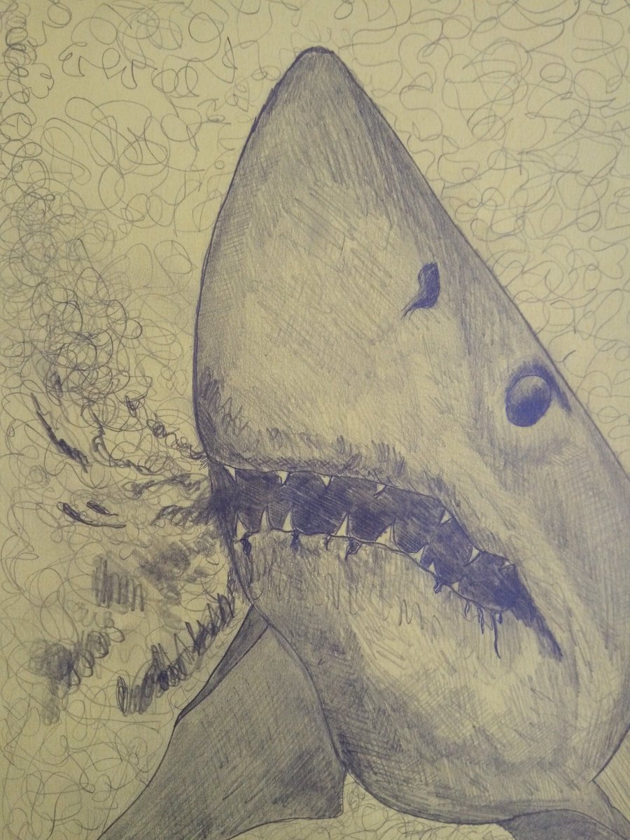 turner_trees's tweet image. Drawing by #KPT I am studying a #Futurelearn course about sharks. It is terrible that they take their fins and they can&apos;t swim properly and die :(