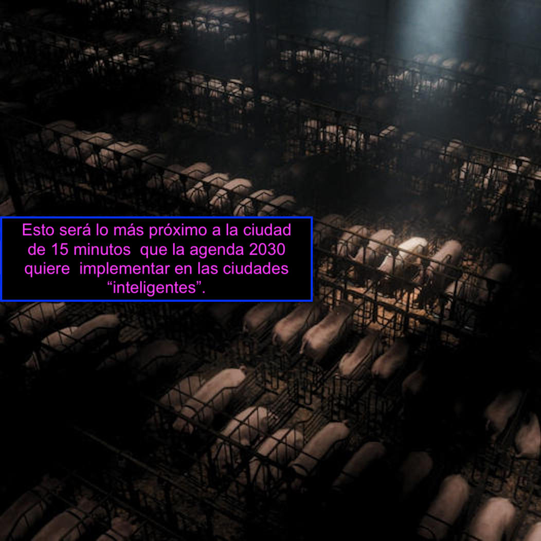 Klan Dharma Invictus tweet media