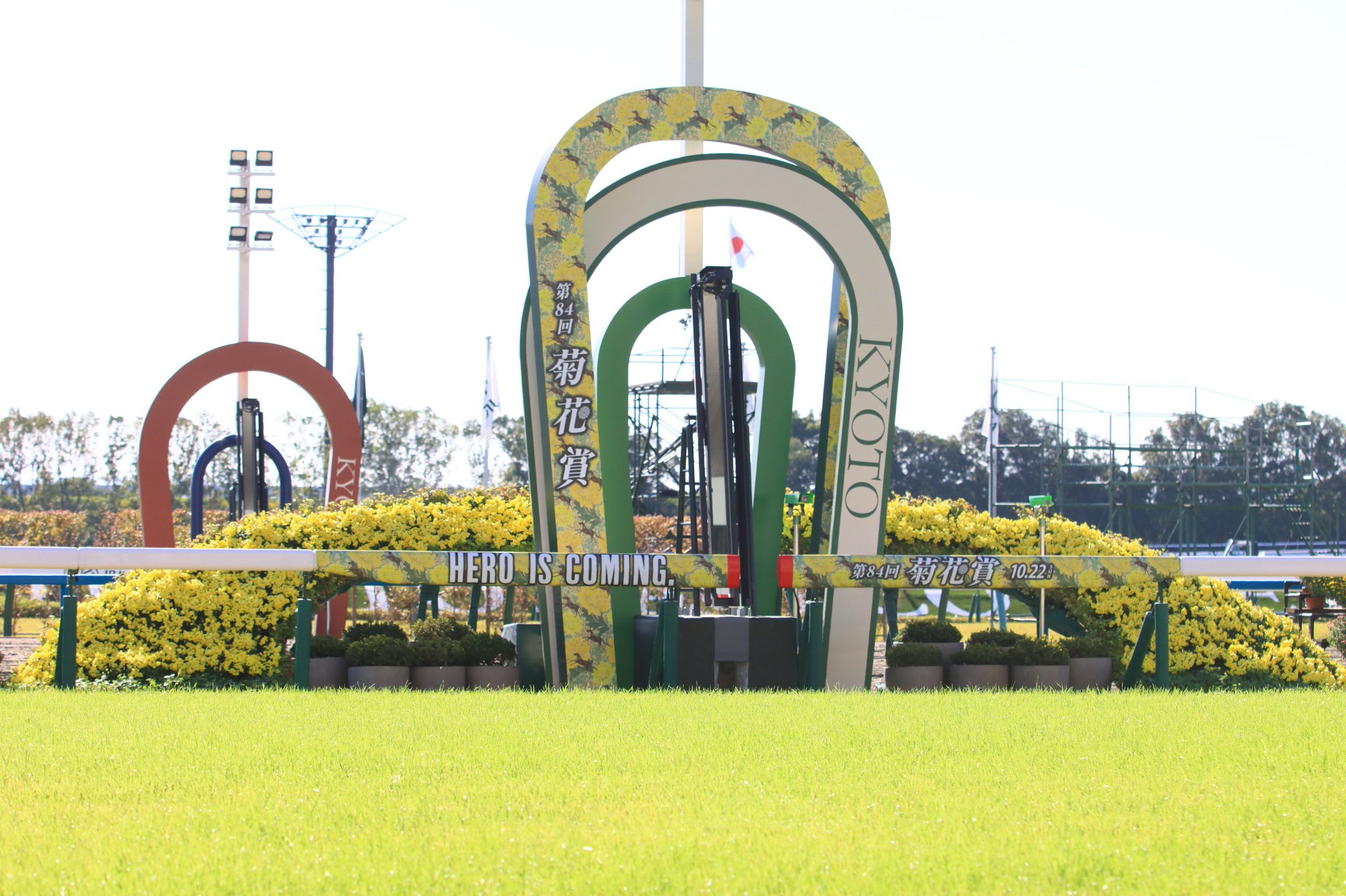 コスモバルク 菊花賞 京都競馬場 現地単勝馬券 記念馬券 外れ