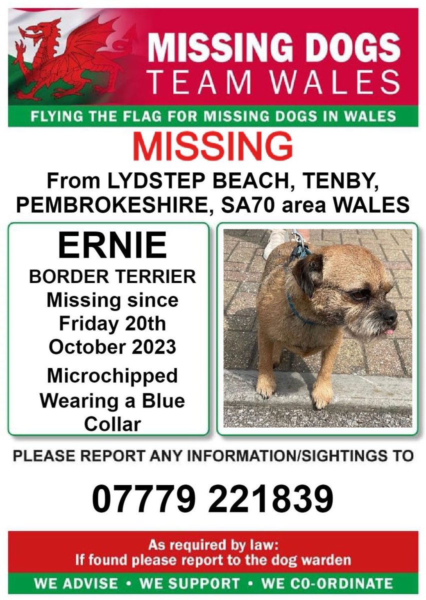 Robin Sowden-Taylor (@rob_s_taylor) on Twitter photo #ERNIE missing 20/10/2023 #LYDSTEP_Beach #Tenby #PEMBROKESHIRE #SA70 AREA #WALES
<a href="/Anthony_Bailey/">Anthony Bailey</a>
<a href="/missingdogwales/">missingdogsteamwales</a>
<a href="/MissingPetsGB/">Missing Pets GB</a>
<a href="/MissingPetForum/">MissingPetForum</a>
<a href="/LostDogAlertUK/">LostDogAlertUK</a> #ERNIE missing 20/10/2023 #LYDSTEP_Beach #Tenby #PEMBROKESHIRE #SA70 AREA #WALES
<a href="/Anthony_Bailey/">Anthony Bailey</a>
<a href="/missingdogwales/">missingdogsteamwales</a>
<a href="/MissingPetsGB/">Missing Pets GB</a>
<a href="/MissingPetForum/">MissingPetForum</a>
<a href="/LostDogAlertUK/">LostDogAlertUK</a>