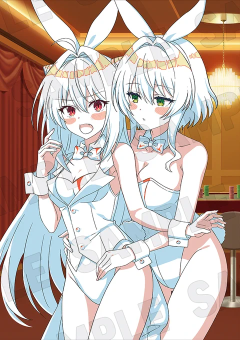 ✧₊#ひきこまり 吸血姫の悶々 Blu-ray 法人特典絵柄ラフ公開中₊✧ソフマップ/アニメガの全巻購入特典はアニメ描き下ろしB2タペストリー&アニメ描き下ろし全巻収納BOXバニーガール!!!!!!!!ひきこまりinfo 