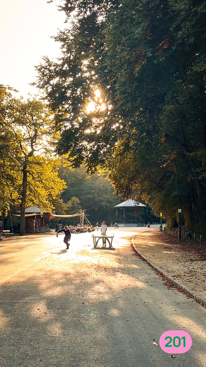 Elke Van den Brandt tweet media