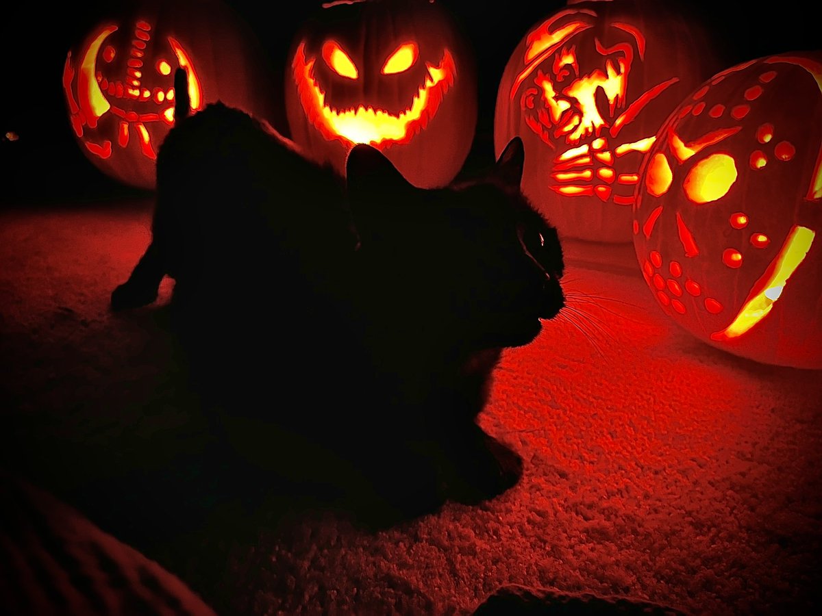 Halloween is my favorite time of the year