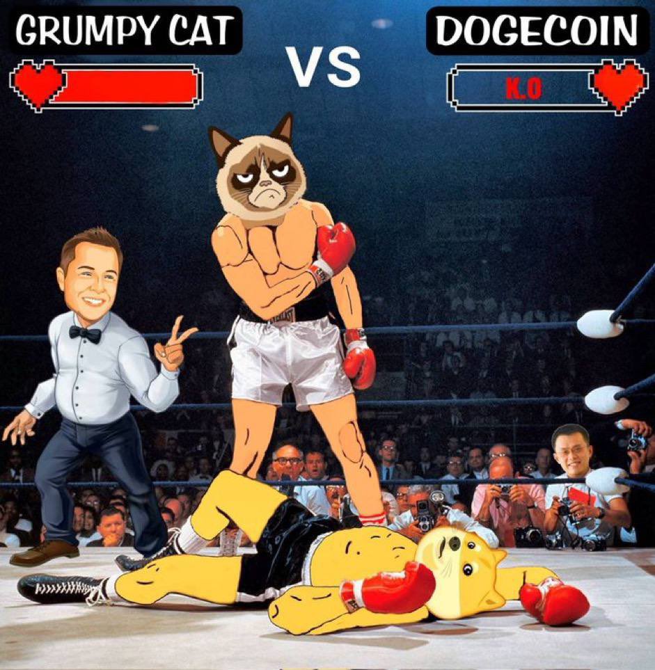 WilfredGrumpy's tweet photo. @cryptoworld202 The best #crypto  to buy and hold in right now is #GrumpyCatCoin 

@GrumpyCat_Coin is going to be number 1 meme token in web 3.

https://t.co/sRgzxeolHN https://t.co/go4Vdl4JOP