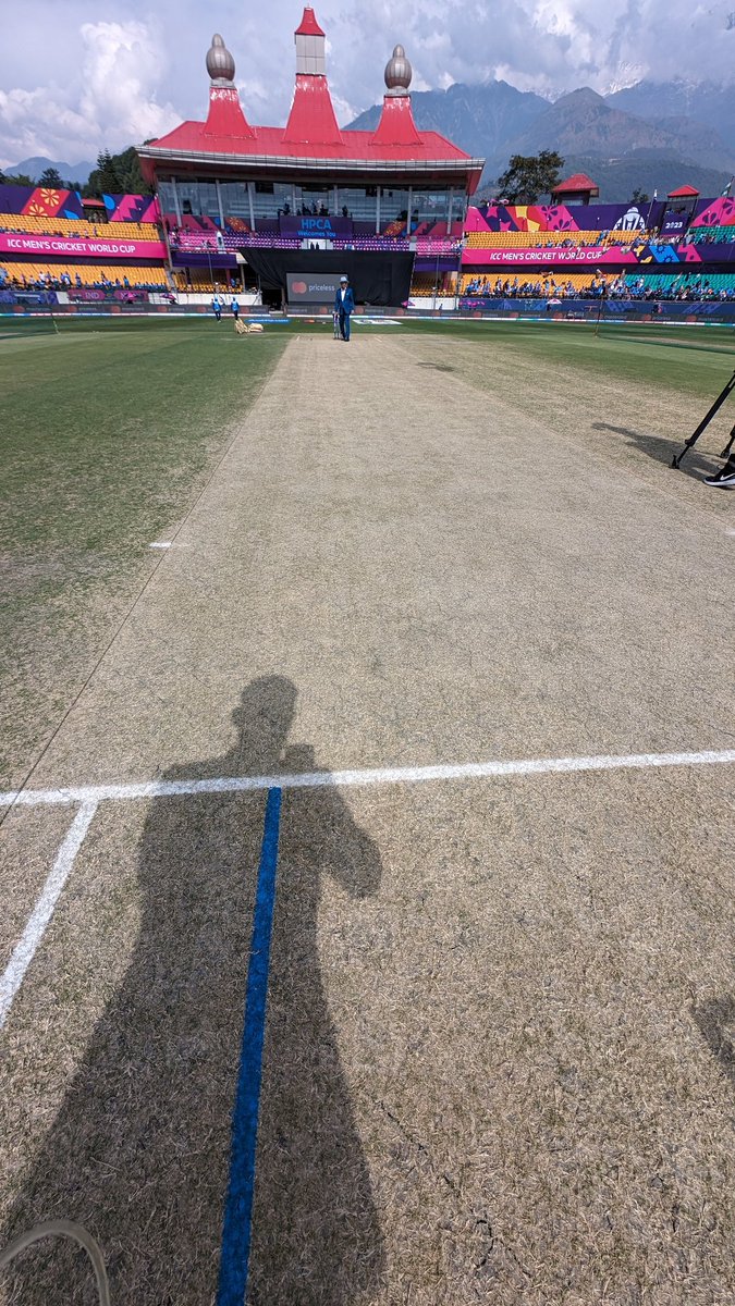 SLOW PITCH I reckon Devoid of live grass #INDvsNZ #CricketTwitter