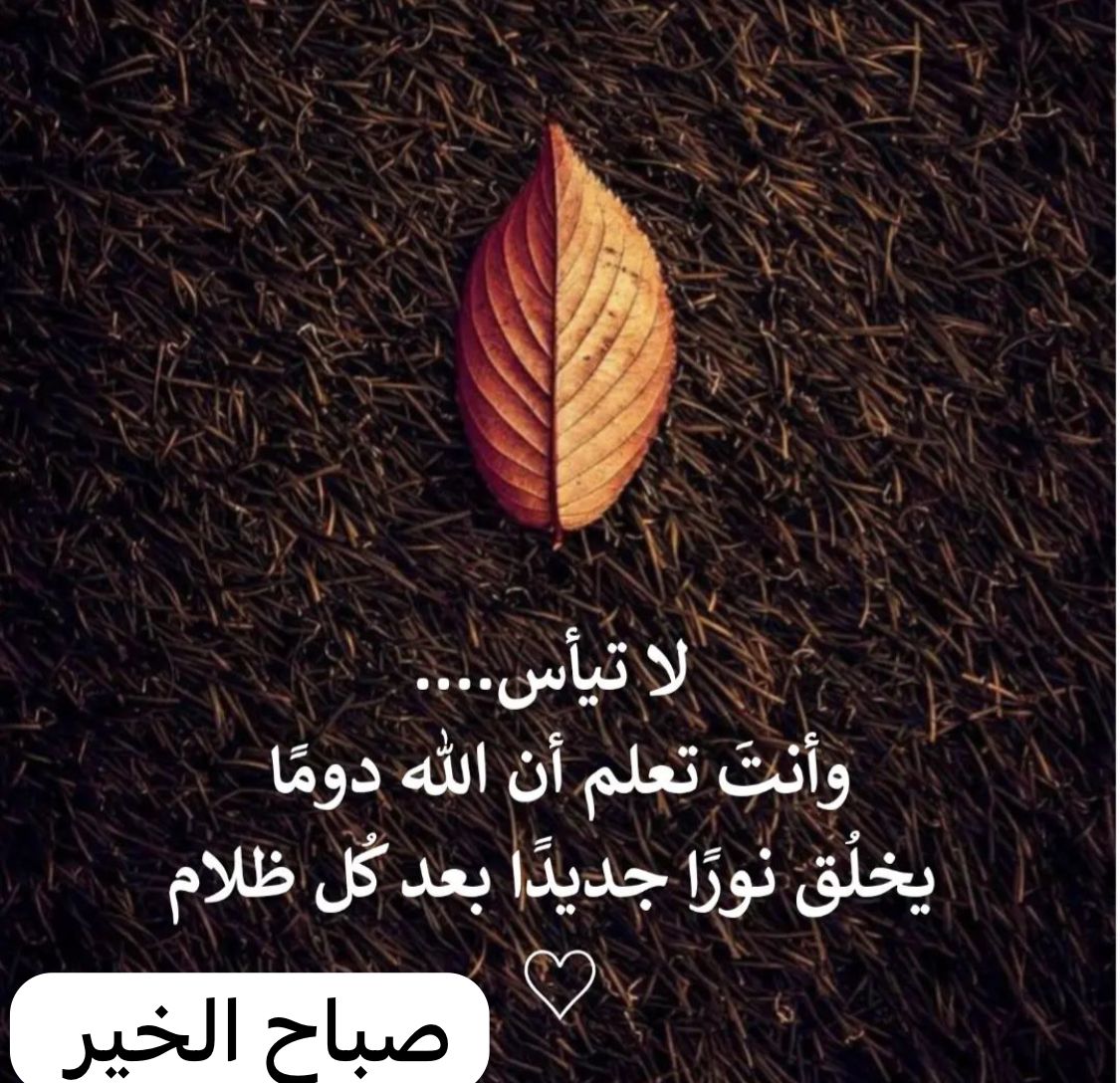 الجوريه (@alrasbia5) on Twitter photo 