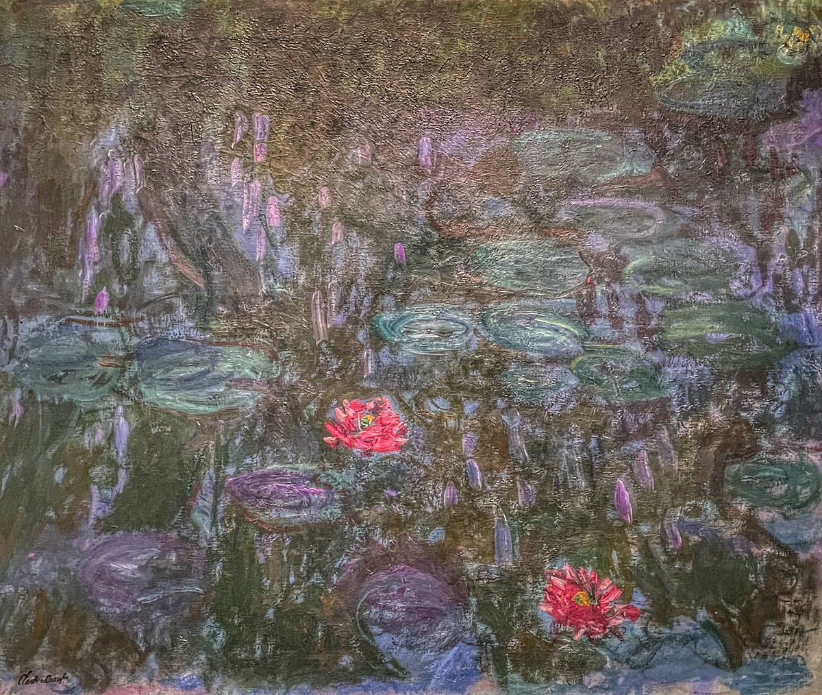 Juan Pascual tweet media