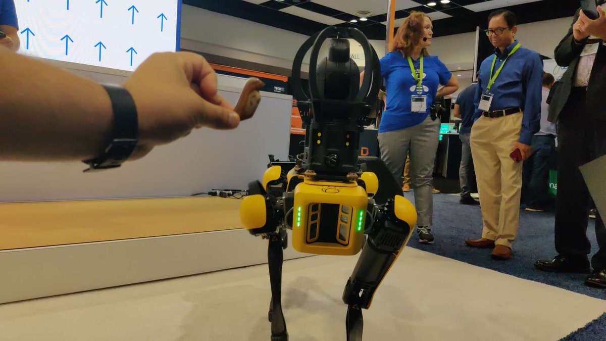 462. When will these be walking on our #streets?