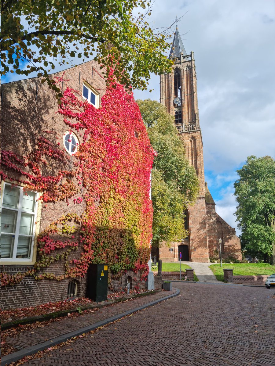 petrapip's tweet photo. #fotochallenge #fot_O_ktober  #herfstbladeren
Gisteren een prachtige wandeling gemaakt in #Amerongen https://t.co/VtEqMYlGpf