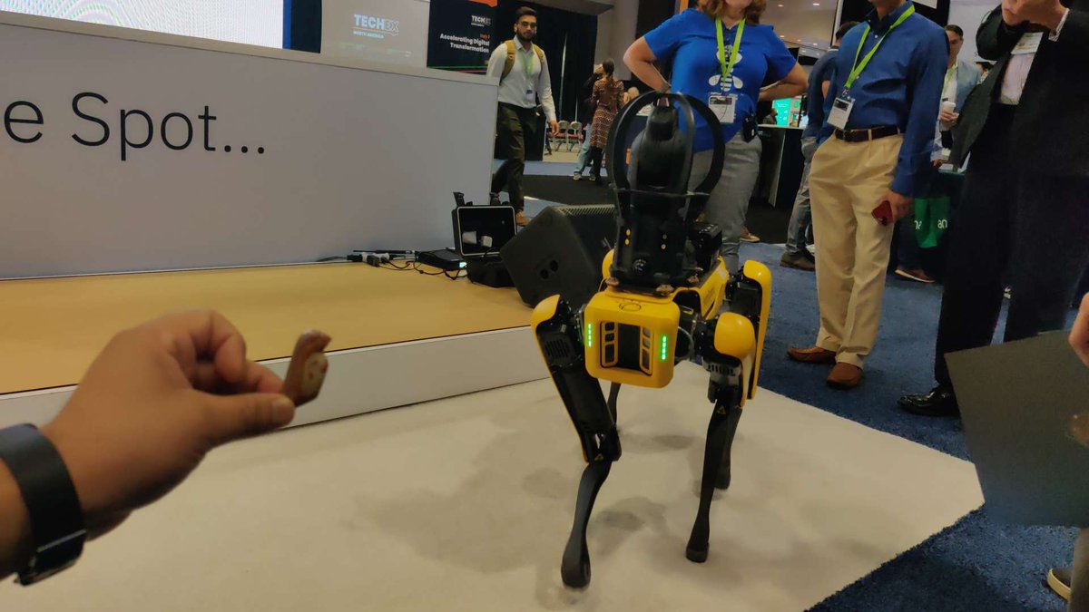 465. #Spot likes to dance.