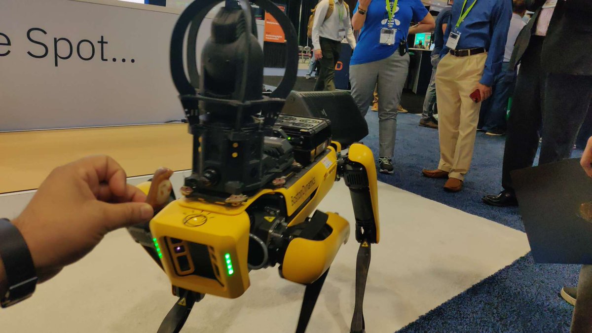 466. Spot is #bowing. Thank you.