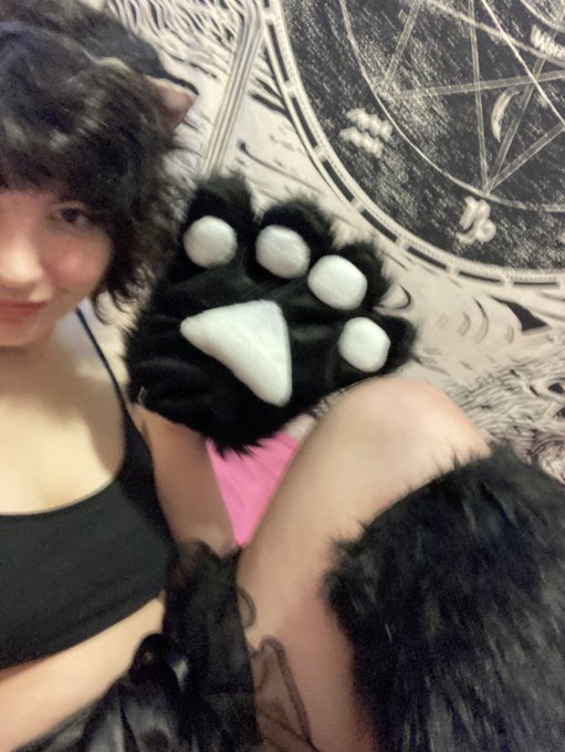 going live! https://t.co/9ULo4vhcfZ