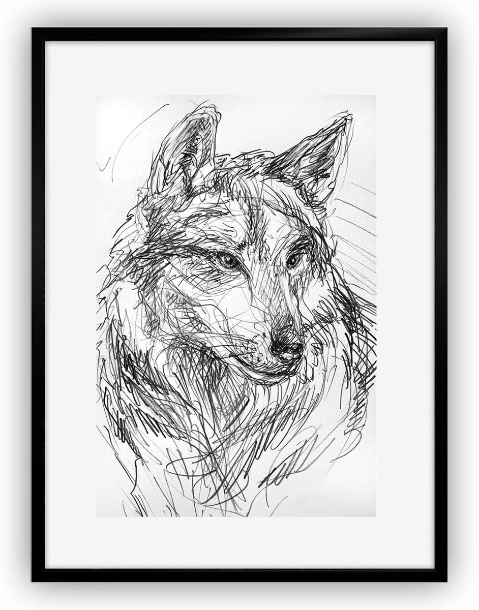 Goodmorning y’all!🐺#wolf #welkomwolf #Pencildrawing #animal #wildanimal #artwork