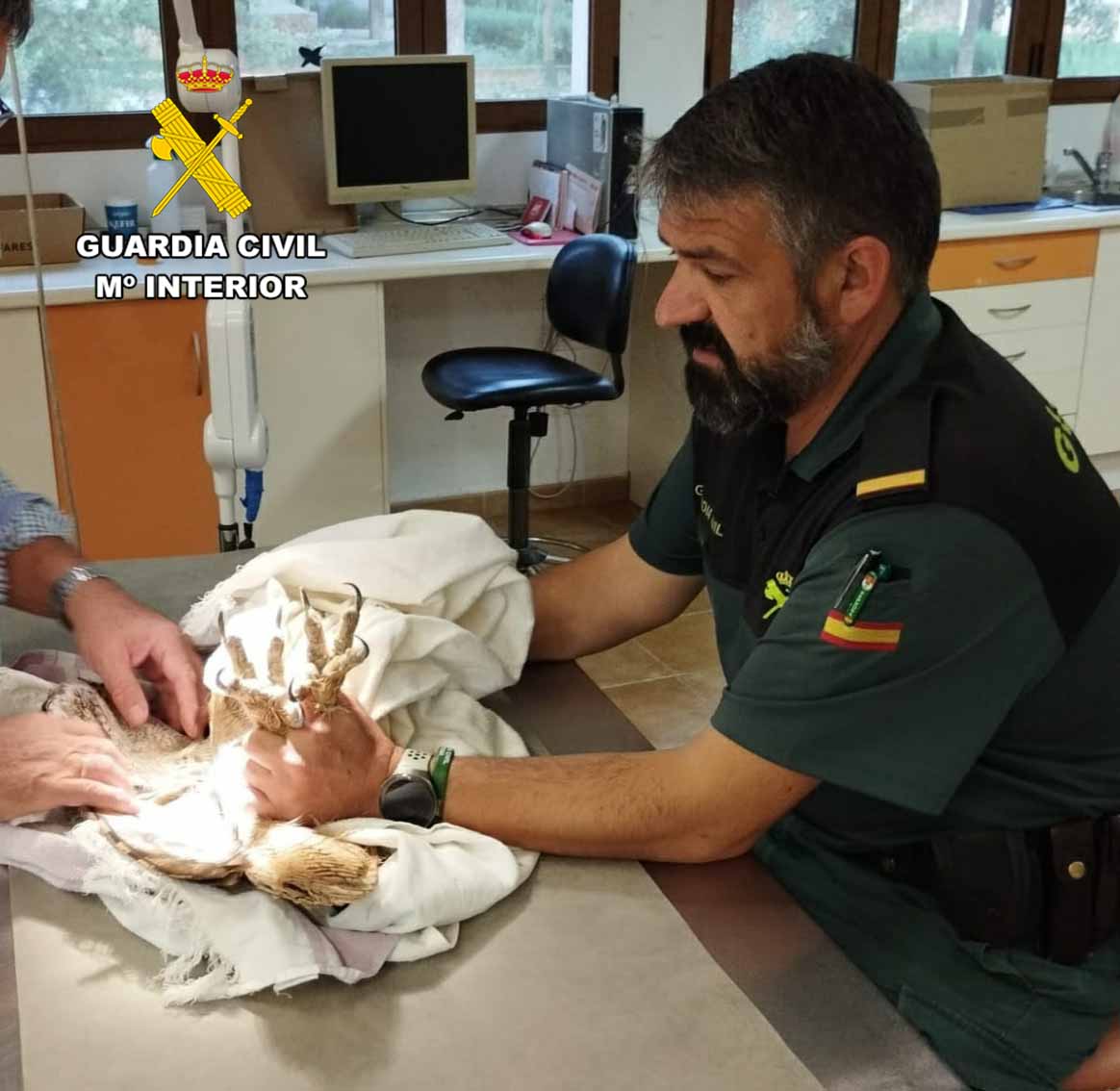 Guardia Civil Albacete🇪🇦 tweet media