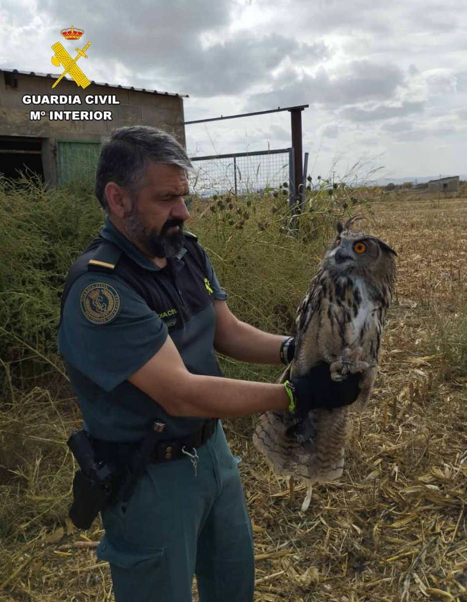 Guardia Civil Albacete🇪🇦 tweet media