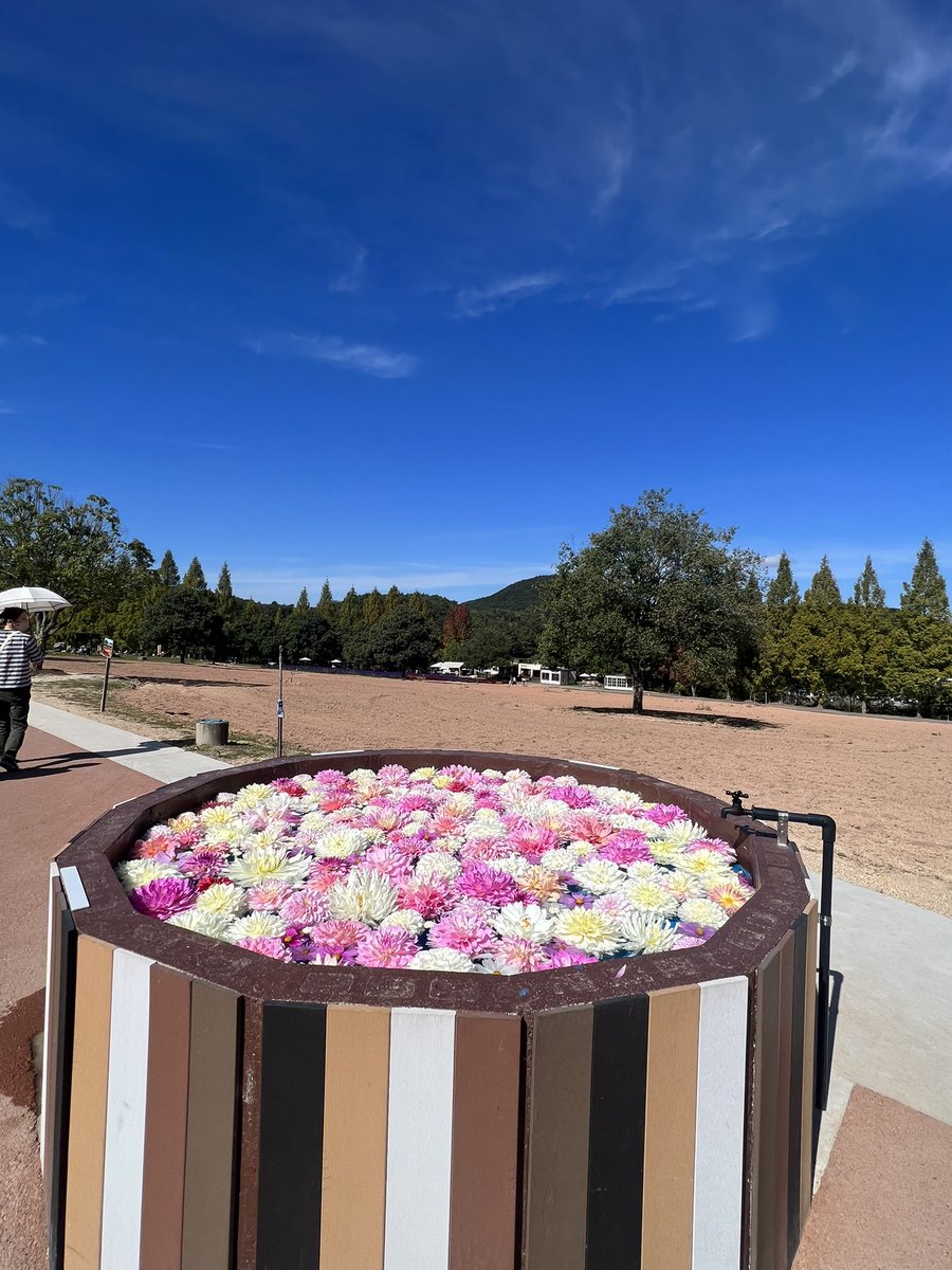 f09685989's tweet photo. 妻と2.3ヶ月に一度お泊まりデートにいきます。
今日は世羅高原農場で季節の花を見てまいりました。
今晩は東広島市で日本酒の飲み比べをして英気を養い、年末まで走り切ります。
新規事業も年内で儲かる仕組みを創りたい！ https://t.co/jZdcExn8iV