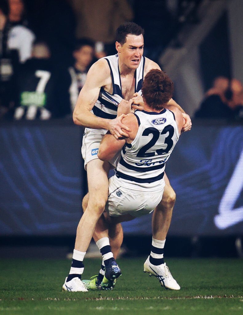 Geelong Insider tweet media