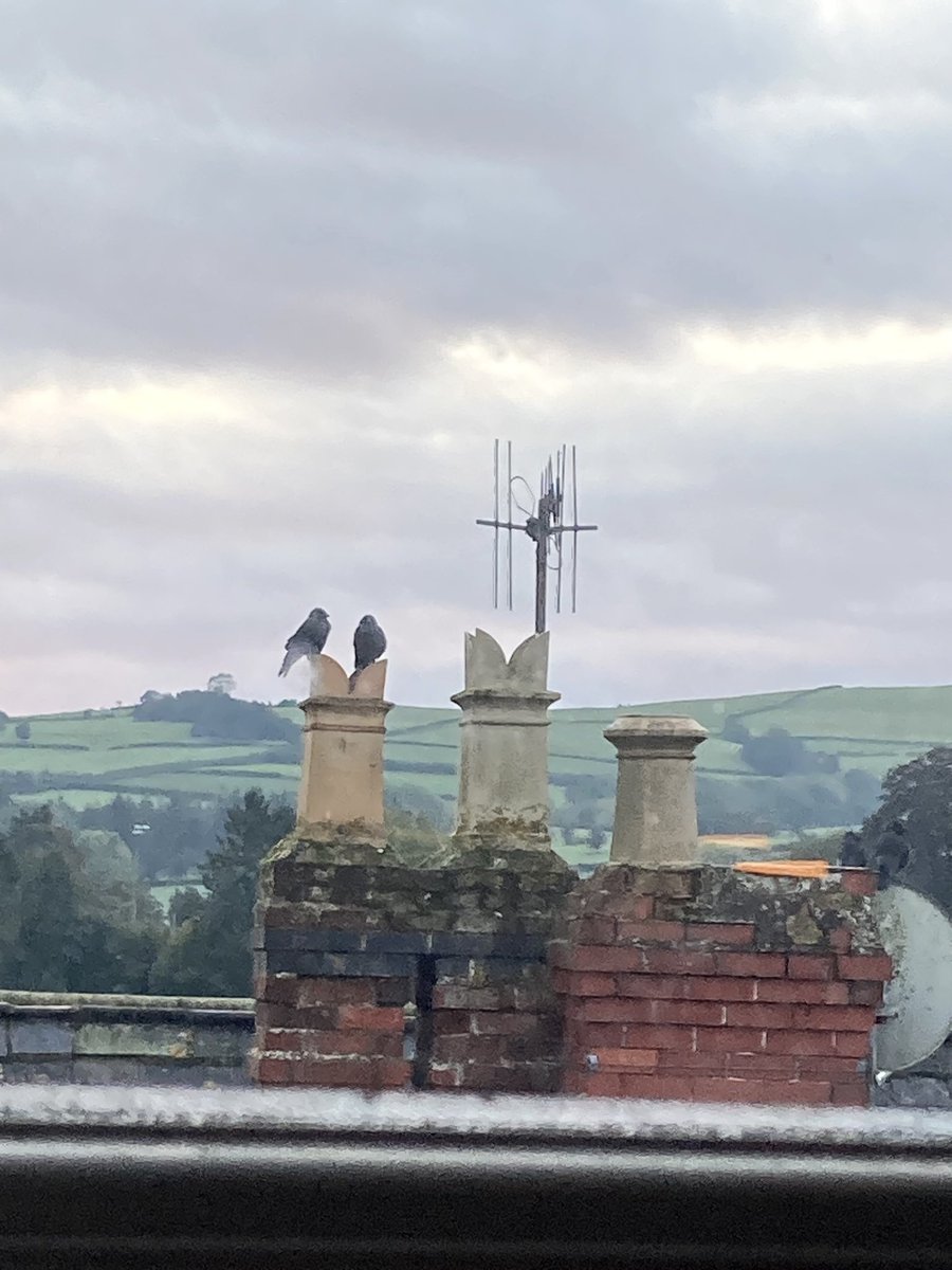 After Storm Babet. 8.00am, 22.10.23, Knighton, Radnorshire