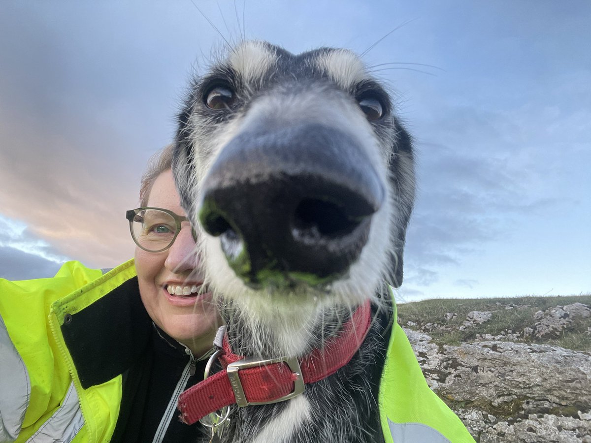 Walked to one of my favourite places yesterday. Sniffed lots and took my time but I’m getting there. Thanks for all the love and boops. ❤️🐾❤️🐾 #rescuedogs #Houndsoftwitter