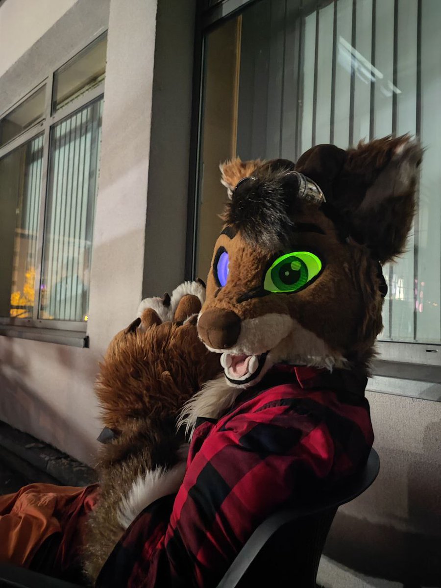 RCaracal's tweet photo. Best 2 days I've had in a while.
Thanks to #Furror
#Fursuit #furry #fursuiter https://t.co/y0PZOJsItG