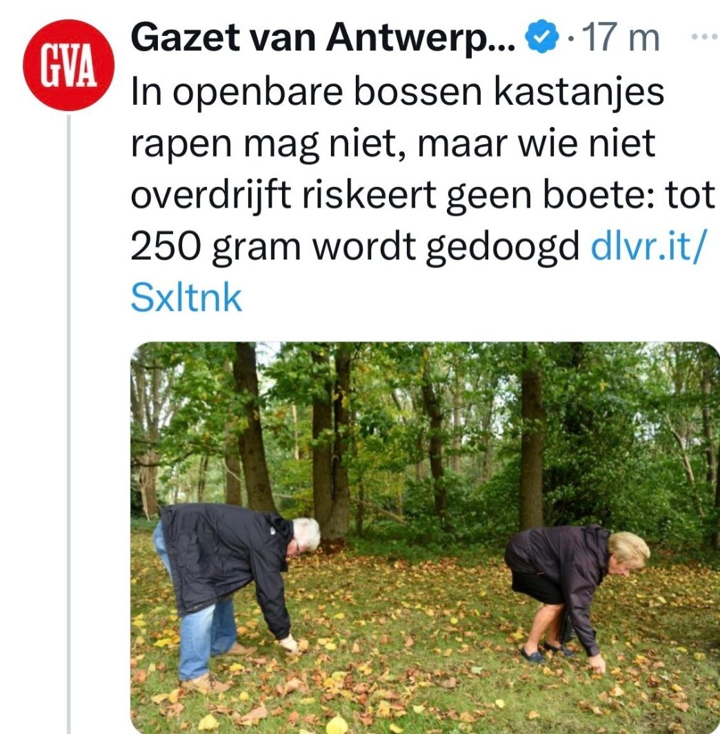 GerdVdB1's tweet image. Wanneer #MonthyPython wetten schrijft...