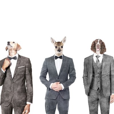 LPaul37832's tweet photo. Tether (USDT) is a widely used stablecoin. https://t.co/DNHuVKmWnW