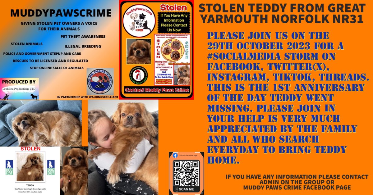 KarenFi51820768's tweet photo. Please join us for a #Twitterstorm on the 29th October 2023 8/9pm for a #SocialMedia storm on the 1st Anniversary of when Teddy from #GreatYarmouth went missing. He’s out there somewhere please #repost to help #FindTeddy any information contact @muddypawscrime #Theftbyfinding https://t.co/M8pB3uKWUY