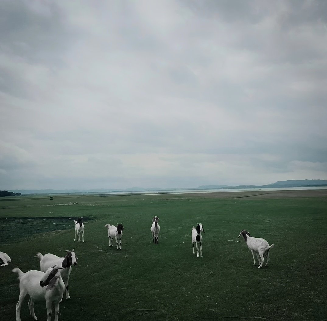 เราจะรู้ความหมายของฟ้าหลังฝน ก็ต่อเมื่อเราผ่านพ้นช่วงวิฤกต 🖤

#คําคม #คําคมความรู้สึก #คําคมชีวิต #แคปชั่น #แคปชั่น2022 #แคปชั่นทะเล #แคปชั่นความรู้สึก #แคปชั่นตลก #แคปชั่นธรรมชาติ #แคปชั่นน่ารัก #แคปชั่นภาษาอังกฤษ #แคปชั่นอ่อย #แคปชั่นเด็ด #แคปชั่นเสี่ยว #ธรรมชาติ