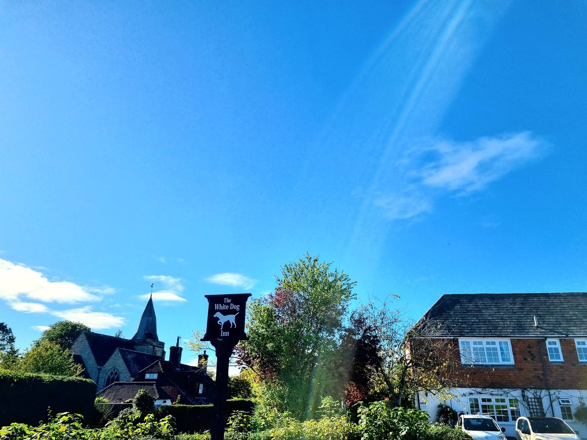 Dan Jones tweet media