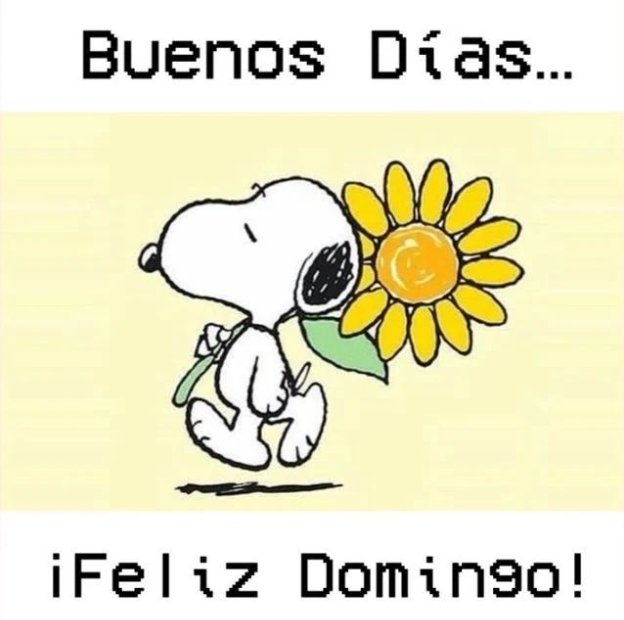 Día para el descanso y recargar energías
 Tengan un bonito Domingo! 🌻