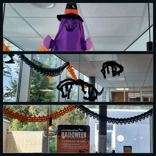 Louterbloemen's tweet photo. Het wordt Halloween bij Louterbloemen . . . . . .
🕷️🕷️ https://t.co/plCO1uH9PC