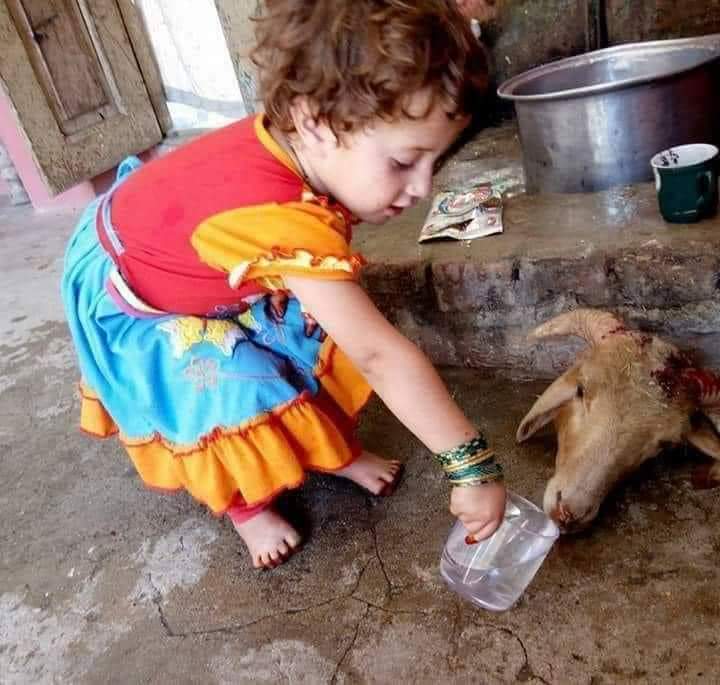 VidhuRawal's tweet photo. The difference between my darkness &amp; your darkness is that I can look at my own badness in the face &amp; accept its existence while you are busy covering your mirror with a white linen sheet...

The difference between my sins &amp; your sins is that when I sin, I know I'm sinning ..
1/2 https://t.co/ccqnOfFAhF