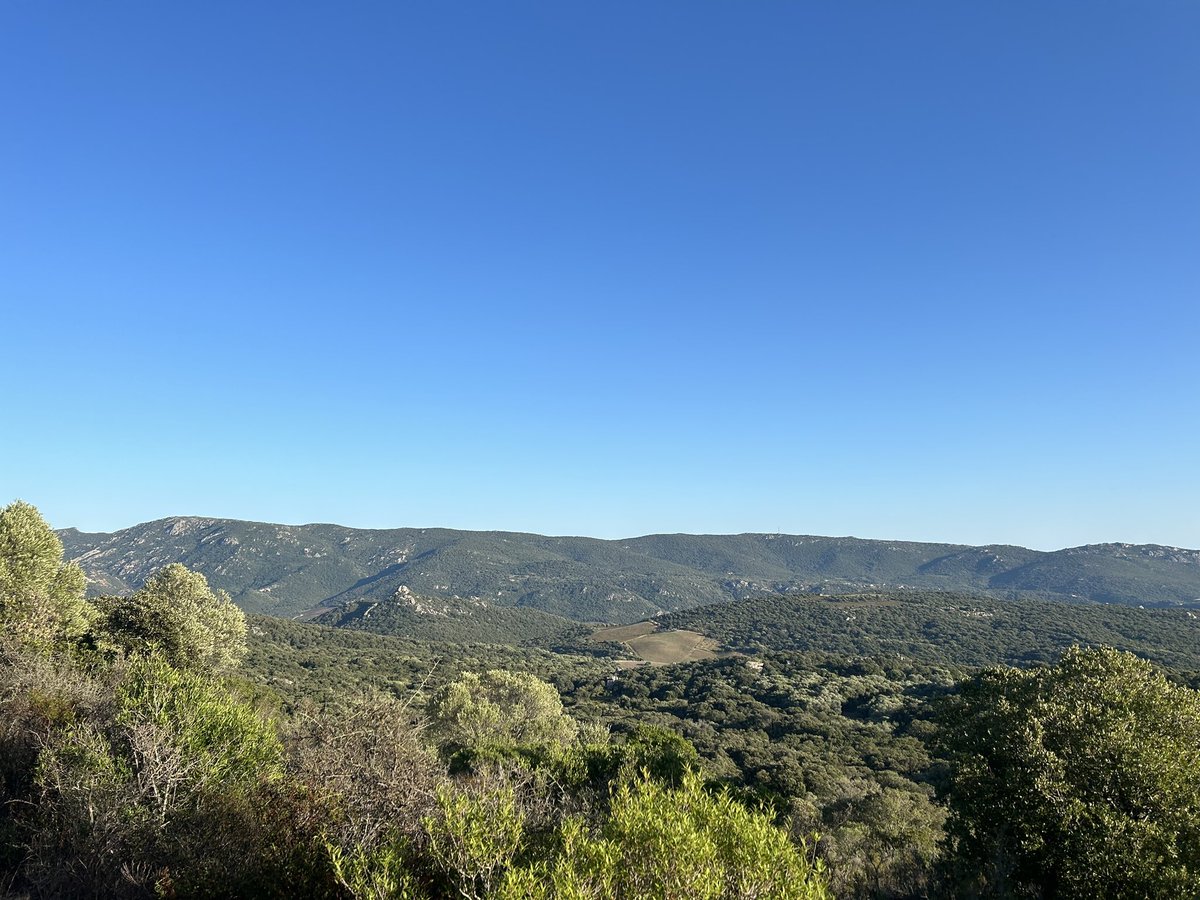LiLeandri2a's tweet photo. « Senta i so liami cù una tarra, u so amori pà qualc’umanu, sapè ch’eddu ci sarà sempri un locu induva u cori truvarà u so accordu, eccu già tanti certezzi par una sola vita d’omu »

A.C, machjaghjolu https://t.co/oXtUAu9kmS
