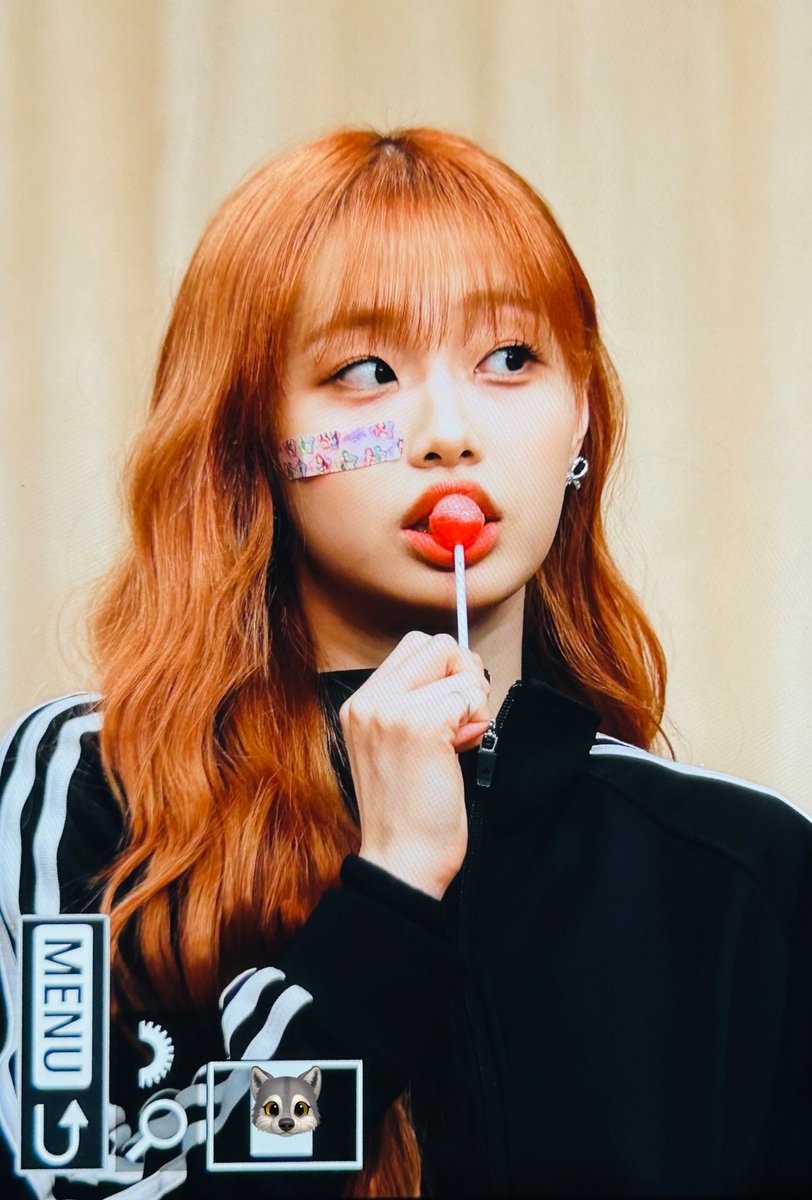 너무 햄드네요 。