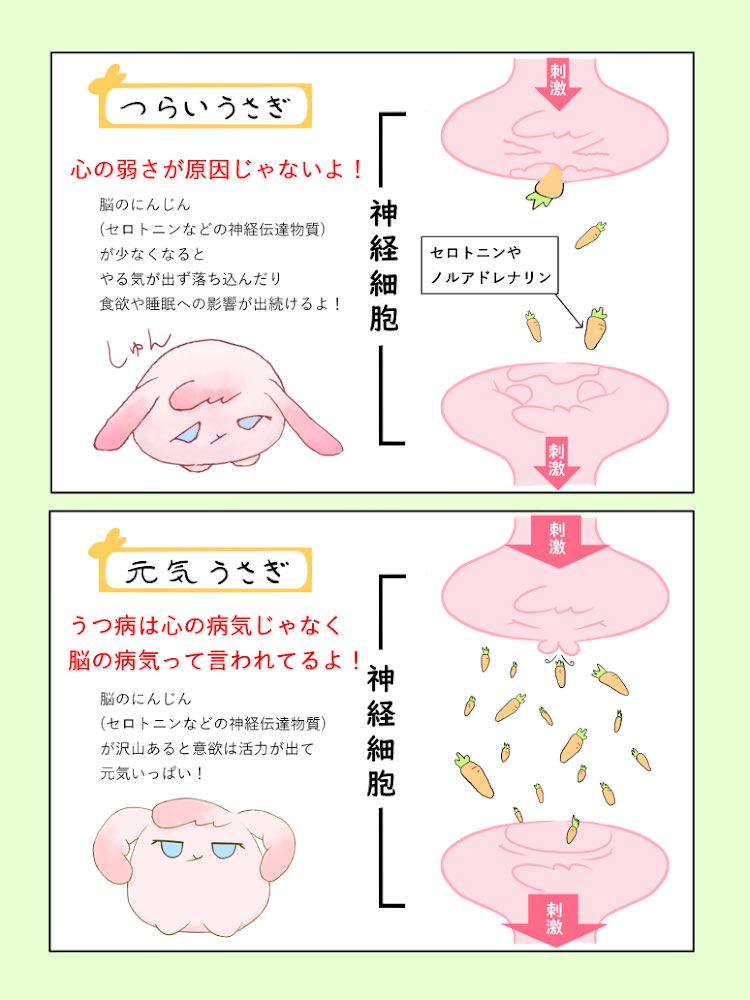 ポジうさ(ᐡ•͈ ·̫ •͈ᐡ ) (@960MJu6zgN80590) / Posts / X