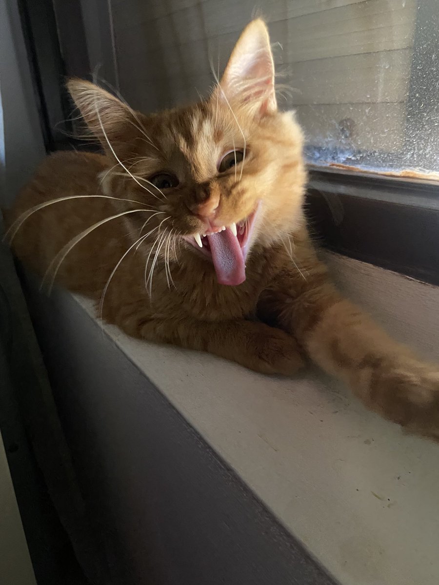 𝐆𝐚𝐛𝐲🌻 tweet media