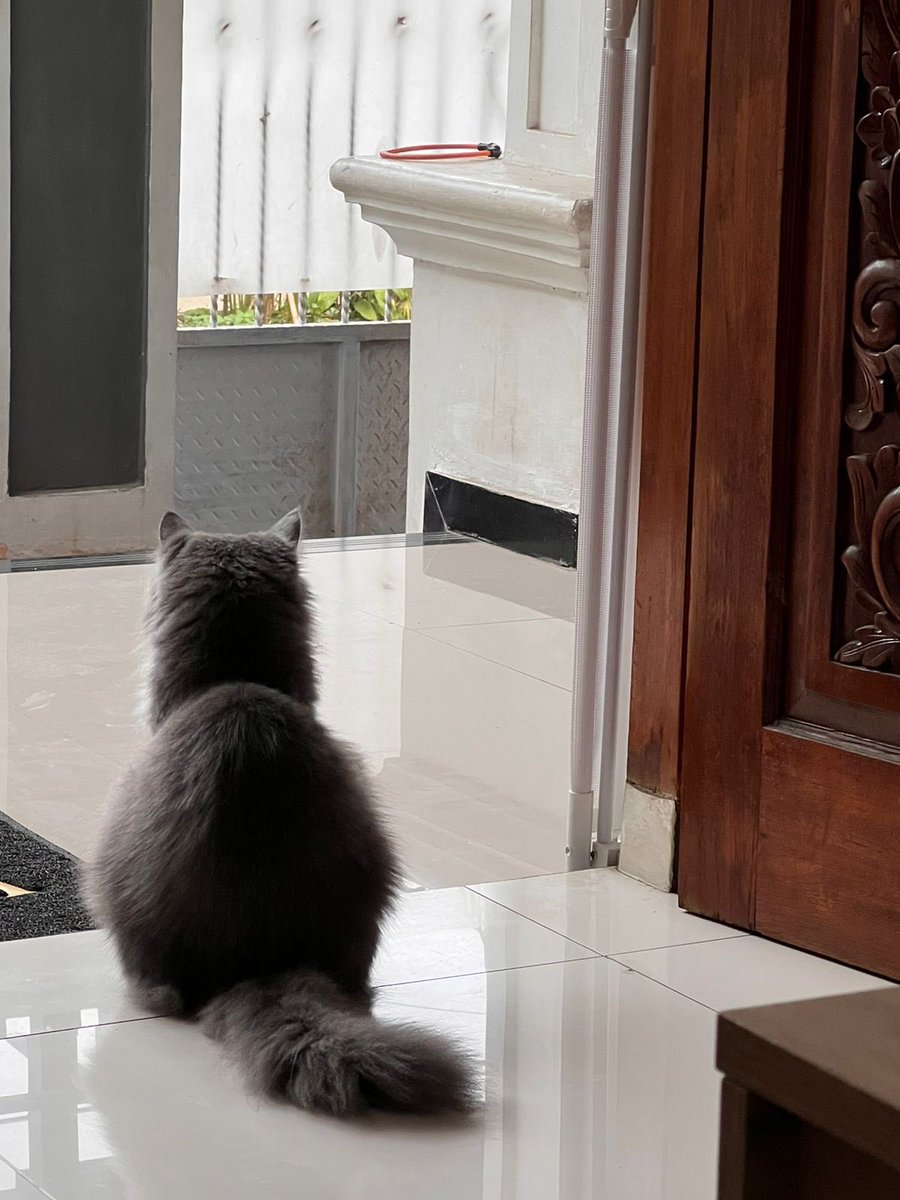 helloreadyset's tweet image. halo,,,,,,duniyeah