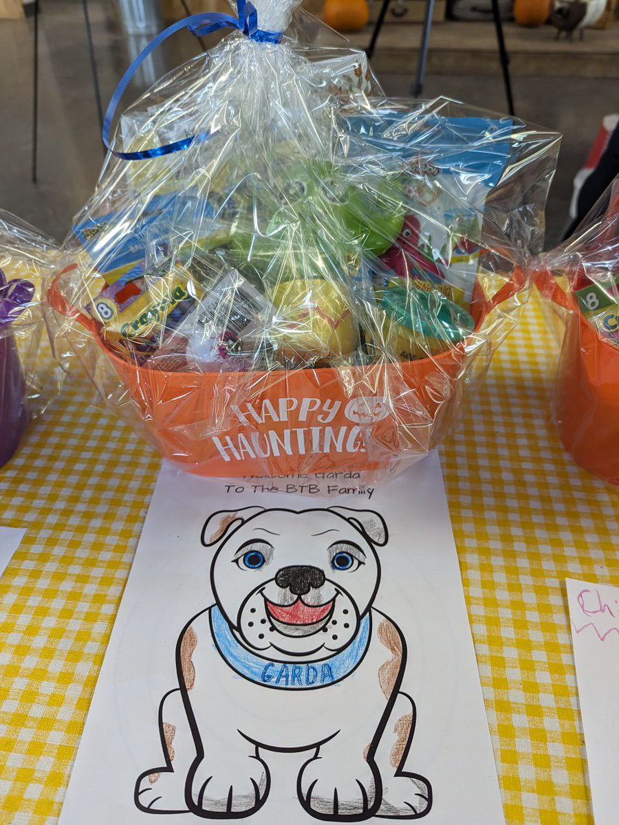 Toronto Beyond the Blue tweet media