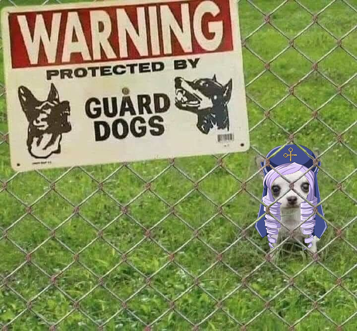 DesHourly's tweet image. 